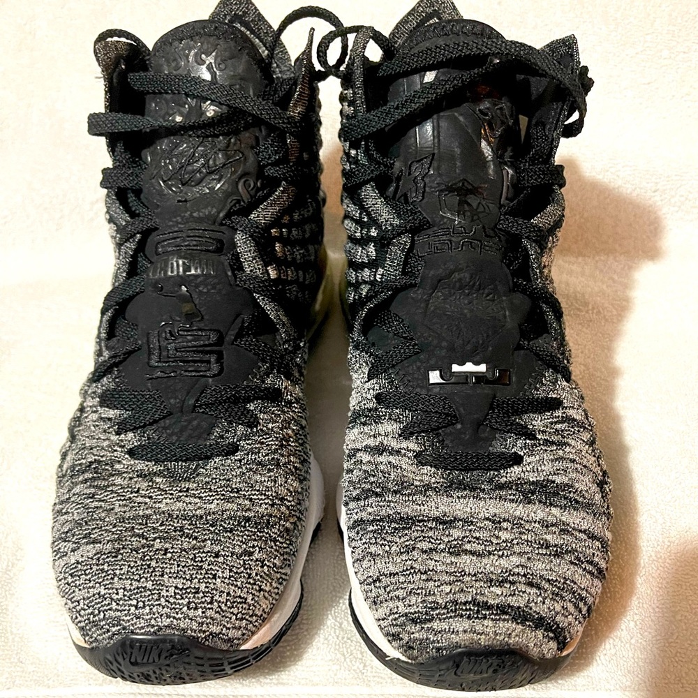 Lebron 17 In The Arena